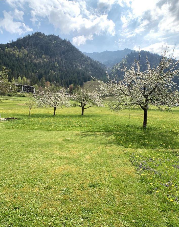 Haus Claudia Lipp Daire Bad Hindelang Dış mekan fotoğraf