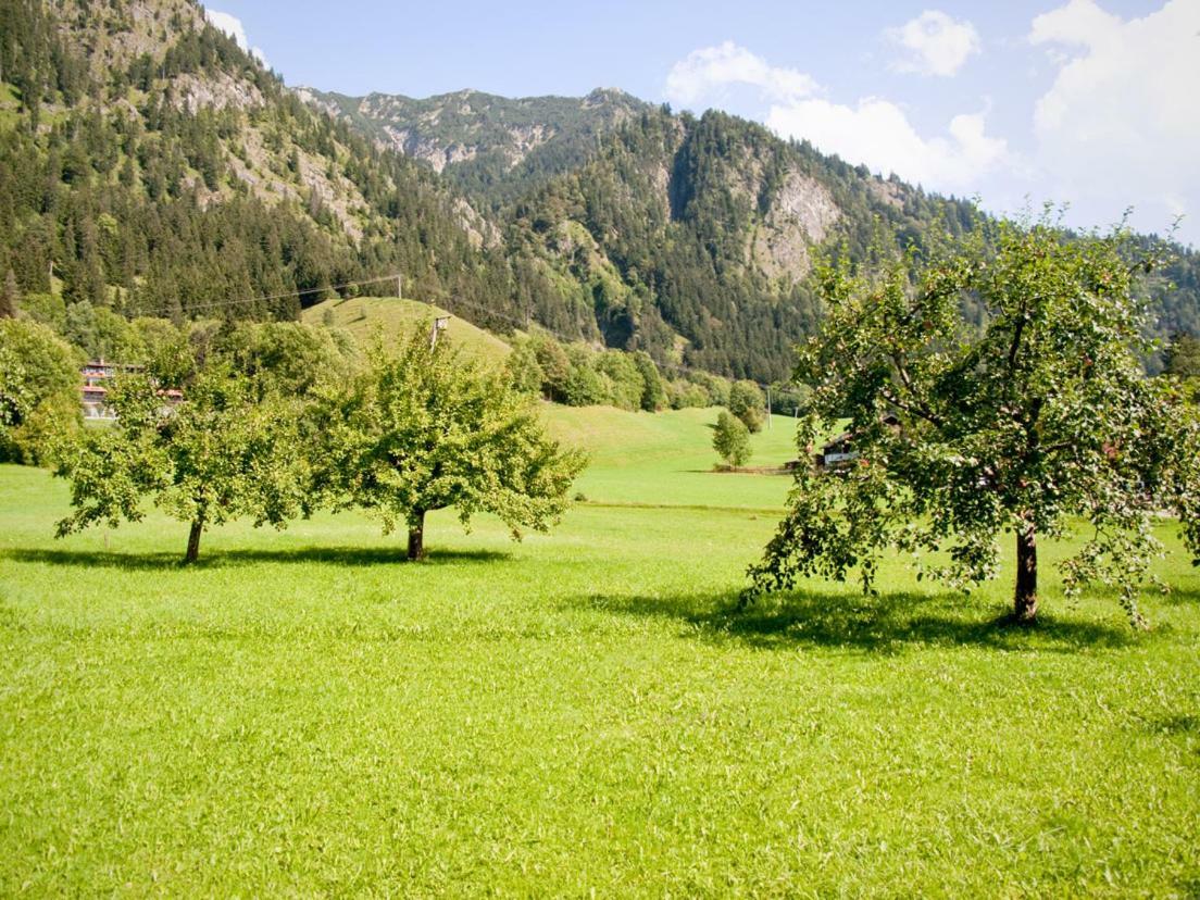 Haus Claudia Lipp Daire Bad Hindelang Dış mekan fotoğraf
